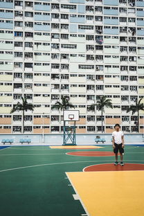 九游(jiuyou)官方网站-中学篮球建设视频数据库方便教师二次教学，中学篮球教学现状的调查报告